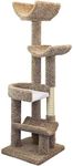 New Cat Condos 190121-Brown Cat Climbing Tree