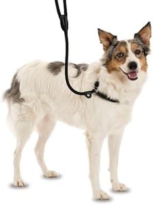 Laisse coulissante 3 en 1 Company of Animals - Collier et Laisse combinés pour un contrôle facile, Confortable et Résistant aux Intempéries, Laisse de dressage pour chiens (Taille S, Marron, 1.2m)