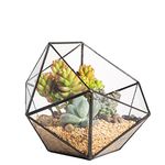 NCYP Geometric Terrarium - Indoor Glass Terrarium Planter Pot for Small Succulent Plant Cacti - Balcony Tabletop Decoration, Handmade, Half Ball Shape (Terrarium Only)