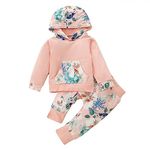 Baby Girl Clothes Infant Baby Girls Outfits Toddler Long Sleeve Hoodie Top + Floral Pants Sweatsuit Clothing Set 2-3 T