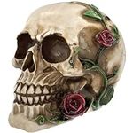 READAEER Human Skull with Rose Resi