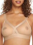 DKNY Women's Sheers Triangle Cup Bralette, Cashmere, Medium