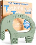 Teethers for Babies 6-12 Months - B