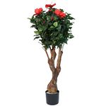 Pure Garden 48 Inch Hibiscus Tree with Flowers