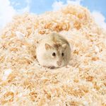 PetVogue Natural Wood Shaving Premium Small Pet Pine Bedding Soft with Odor Control,Hamster Beddings for Mice Degu Rat Rabbit Bunny Guinea Pig Chinchilla Hedgehog or Other Small Pets (1kg)