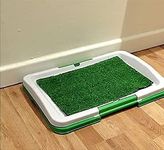 Artificial Grass For Dog Training