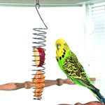 Treats For Parakeets