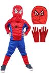 FANY Superheor Costume for Kids| Full Set (t-shirt, Trouser, Mask) (2-3 years)