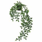 IKEA.. 403.495.31 Fejka Artificial Potted Plant, Indoor/Outdoor, Hanging, 9cm, Green