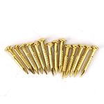 ViaGasaFamido Brass Escutcheon Tacks, 100Pcs Round Head Brass Nail Furniture Hinge Hardware Accessories Hardware Assortment Kit (10mm Length)