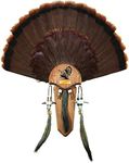 Hunters Specialties Easy to Assemble Trophy Mount H.S. Strut Three Beard Mounting Plaque with Natural Oak Finish,Brown