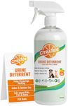 Urine Deterrent Spray for Dogs & Ca