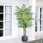 Keeplush 6ft Tall Triple Golden Cane Palm Artificial Tree Large Tropical Palm Tree UV Resistant Fake Plant in Pot for Indoor Outdoor Big House Living Room Outside Patio Office Home Decor 1Pack