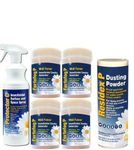 Direct Sales Book Lice Killer and Treatment Kit for a Large Room (PROFESSIONAL PRODUCTS NOW AVAILABLE FOR AMATEUR USE)