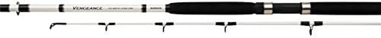 Shimano Vengeance AX Boat 270H, 2 P