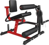 GMWD Leg Extension Machine and Curl