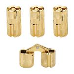 Benliu 14mm Invisible Brass Barrel Hinges Hidden Concealed Furniture Hinges 180 Degree Opening Angle 4Pcs