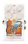 Electro Harmonix Canyon Delay and Looper