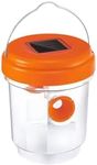 Wasp Trap Outdoor Hanging,1/2 Pack 