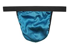 LSHARON Silk Men's Sexy 100% Mulberry Silk G-String Lingerie Underwear Thong Briefs (L (Tag 2XL), Blue)
