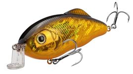 Strike King (HCHHJRS-406) Hybrid Hunter Jr Shallow Hard Bait Fishing Lure, Color 406 - Gold/Black Back, 3.5", 1/2 oz, Dives 1-3 Feet, 3D Eyes