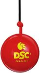 DSC Hanging Synthetic Cricket Ball (Red)