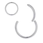 ORANGELOVE Hypoallergenic Nose Rings 20G 18G 16G 14G 316l Surgical Steel Piercing Jewelry Hinged Segment Ring Body Piercing Nose Hoop Lip Rings Nose Helix Cartilage Rook Earrings for Men Women