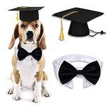 2024 Graduation Dog Bow Tie Necktie
