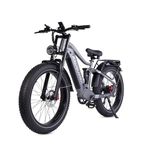 RZOGUWEX Electric Bicycle，26 Inch Off-Road EBIKE for Adults with 48V 25AH Detachable Lithium Ion Battery, 7 Speed with Dual Shock Absorbers and Dual Hydraulic Disc Brake(Black)