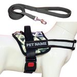 PAYTON PERRY Customized Dog Harness with Leash | Dog Harness with Name | Personalized Dog Vest Harness, No Pull, Adjustable (Medium, BLUE-3D, Recommended for 14-23KG Dogs)