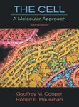 The Cell: A Molecular Approach