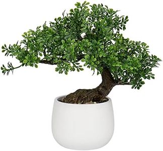 Bonsai art