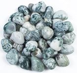 Crocon 1LB Tree agate Crystals Tumbled Stones Bulk Set 2000+ Carats Pocket Crystal Healing Balancing Gemstones Tumbled Collection Palm Stone Good Luck Charm Gift Craft Home Decor Size: 20-25 mm