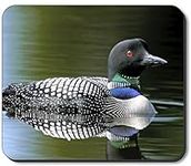 Art Plates Brand Mouse Pad - Loon