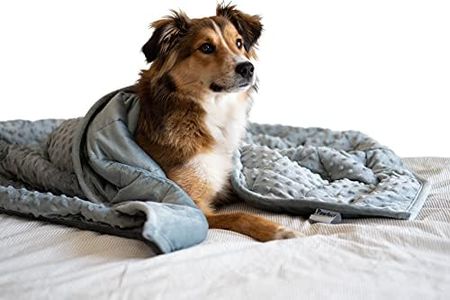 Nappy Puppy - Weighted Dog Blanket | Specially Designed for Anxious Dogs | Extra Comfortable | Premium Minky Fabric | Hypoallergenic Glass Beads | Gray | Small 2 lb