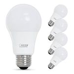 Feit Electric A19 LED Light Bulb, 6