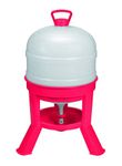 Little Giant® Plastic Dome Waterer | Heavy Duty Plastic Gravity Fed Poultry Waterer Container Tank | Chickens, Ducks & Other Birds for Hobbyists, Farmers and Ranchers | 8 Gallon