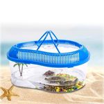 Jainsons Turtle House Reptile Carrier with Cover and Handle (Colour May Vary, Small)