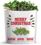 MERRY CHRISTMAS Greeting Card by GIFT A GREEN | Xmas Greeting Cards with Organic Microgreens! Just Like A Post Card, Simply Mail and Recipient Gets to Grow & Eat | Cards for All Occasions | 1 PACK