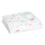 aden + anais Essentials Dream Blanket, Muslin Baby Blankets for Girls & Boys, Ideal Lightweight Newborn Nursery & Crib Blanket, Unisex Toddler & Infant Bedding, Shower & Registry Gift, Voyager-Ecosphere