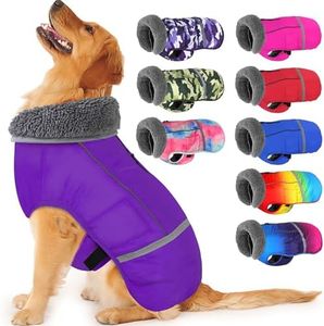 Dogcheer D