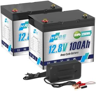 HRBEENERGY Batterie LiFePO4 12V 100AH 2Pack, BMS 100A intégré et cellules de qualité A,Batterie rechargeable12V au lithium phosphate de fer, 4000-15000 cycles，pour solaire, moteur de pêche à la traîne