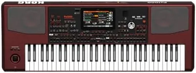 Korg Pa1000 61-Key Professional Arr