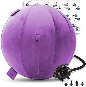 Exercise Ball 65cm/26in, Light Grey Mirco Plush Soft Cover with Electric Quick Pump For Yoga, Pilates, Fitness Balance Stability, Office Ball Chair Seat. Soft & Slip Resistant, Pro Guide