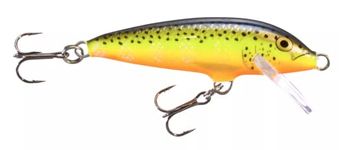 Brook Trout Bait