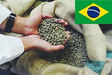 Brazil Santos Green Coffee Beans - Unroasted Raw - Perfect for Home Roasting (1kg)