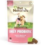 Pet Naturals Daily Probiotic for Dogs, Duck Flavor, 160 Bite Sized Chews - Vet Recommended Digestive and Immune Support Supplement