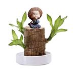 Brazilian Wood Plant,Brazilian Lucky Wood Plant,with Pot Hydroponic Potted Plant Stump,for Desk Decoration,Brazilian Wood Plants Purifying Indoor Air, Desktop Plant for Indoor Cultivation (C)