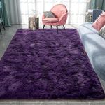 Pacapet Fluffy Large Rugs for Livin