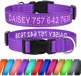 TagME Personalized Dog Collar with 